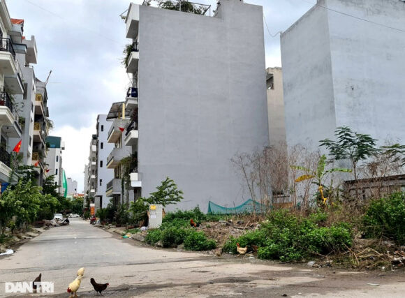 2 Dua Luot Song Nha Dat Nha Dau Tu Dung Ngoi Khong Yen Vi Bi Chon Von