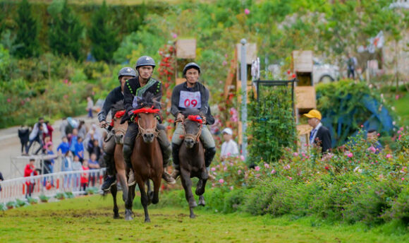 1 Ha Noi Kien Nghi Thu Tuong Ve Du An Truong Dua Ngua Soc Son