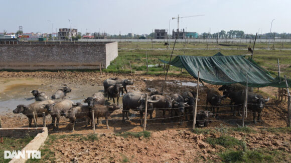 1 Ha Noi Se Thu Hoi Cac Du An Chay I Cham Trien Khai