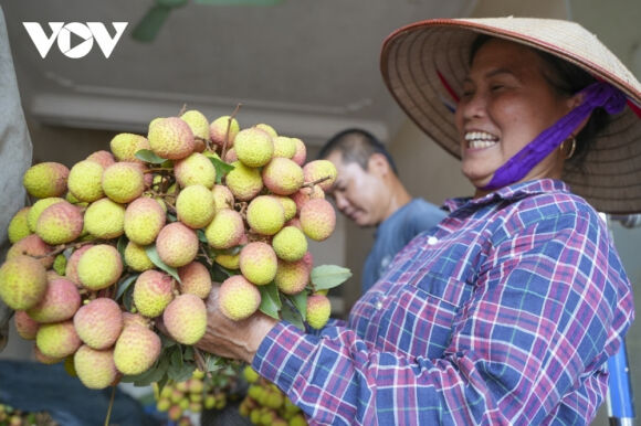 1 Vai Thieu Sang Chau Au Co Gia Toi 650000 Dongkg