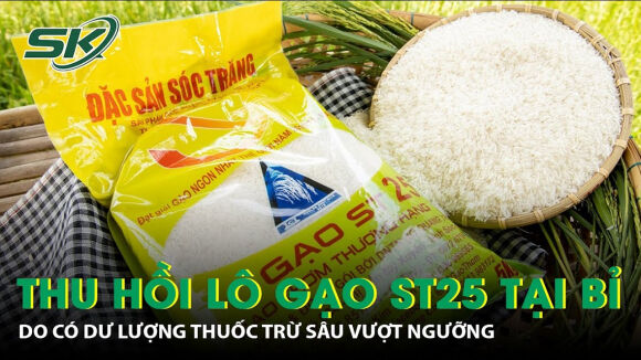 1 Thu Hoi Lo Gao St25 Tai Bi Co Du Luong Thuoc Tru Sau Vuot Nguong