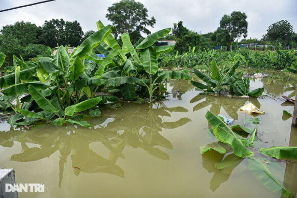 11 Hai Ngay Sau Con Mua Lon Nguoi Ha Noi Di Do Qua Doan Ngap