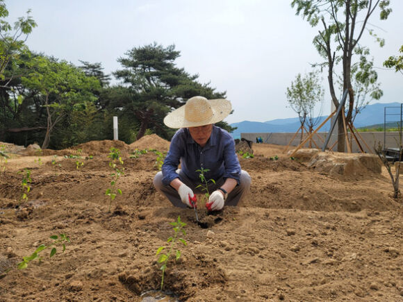 1 Cuu Tong Thong Han Quoc Moon Jae In Bi Youtuber Quay Ray Luc Ve Huu