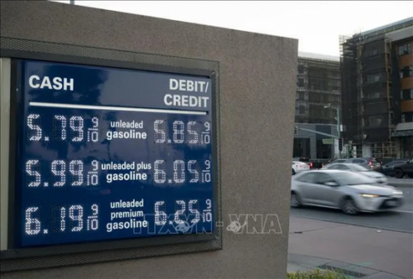 2 Con Bao Hoan Hao Tren Thi Truong Dau Tho The Gioi