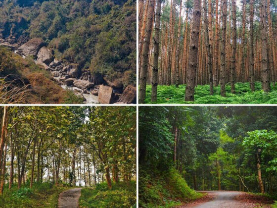 5 Chang Trai 9x Tot Nghiep Thac Si Kep O Chau Au Ke Lai Hanh Trinh Du Hoc Song Gio