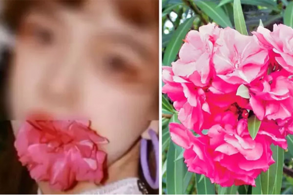 Trả giá vì trào lưu ngậm hoa có độc chụp ảnh