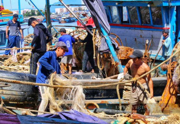 1 Tien Dau Di Bien Doi Len 3776 Tythang Bo Nnptnt De Nghi Khan