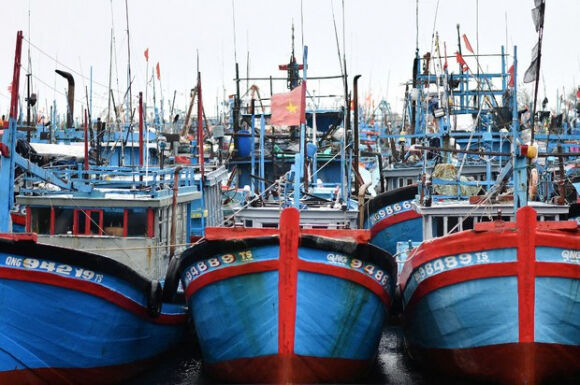 1 Ngu Dan Viet Lao Dao Vi Gia Xang Dau Tang