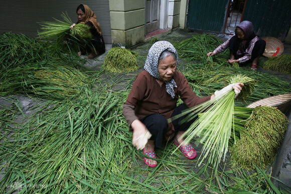 1 Nguy Co Xuat Hien The He Banh Mi Kep