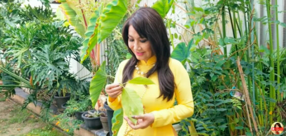 2 Danh Ca Thanh Lan Len Tieng Ve Tin Don Hen Ho Nhac Si Vu Thanh An