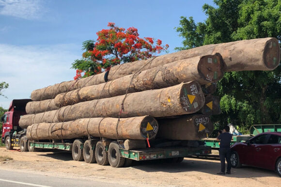 1 Xe Cho Go Khung Tu Hai Phong Di Tphcm Tai Xe Bat Hop Tac Voi Canh Sat