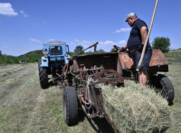 1 Nong Dan Ukraine Dau Dau Viec Thu Hoach Lua Mi