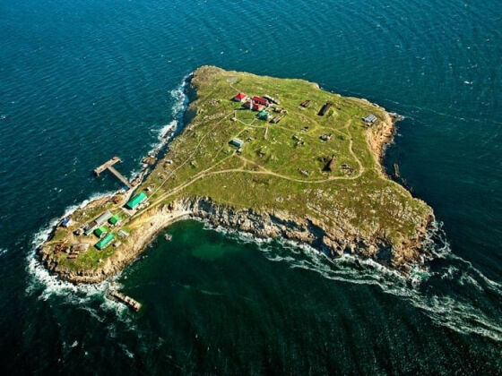 2 Ukraine Giai Thich Ly Do Quan Doi Chua Do Bo Dao Ran He Lo Cach Dac Biet De Cam Co Tren Dao