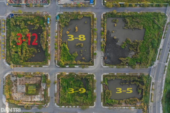 1 Bi Cuong Che Cong Ty Bo Coc Dat Thu Thiem Con 821000 Dong Trong Tai Khoan