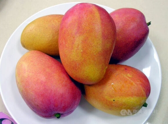 1 Hong Kong Tieu Huy 200kg Xoai Dinh Covid 19