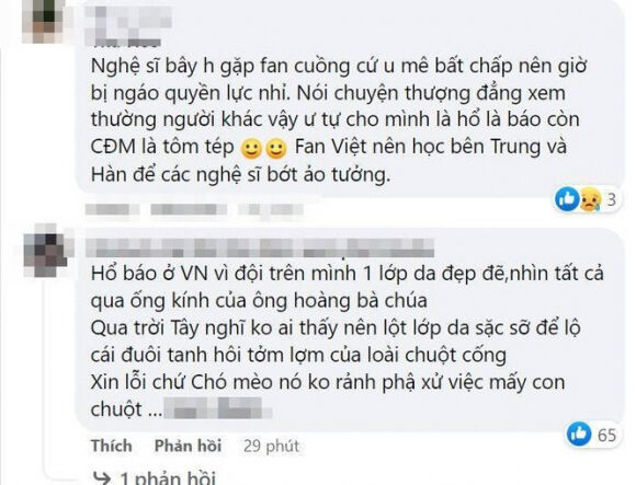 5 Loi Van Hoa Cua Nghe Si Trong Vu Viec Ho Hoai Anh   Hong Dang