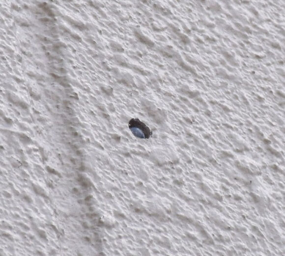 3 Vu Am Sat Cuu Thu Tuong Abe Shinzo Me Nghi Pham Len Tieng