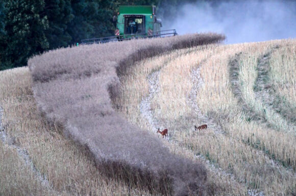 4 Tin The Gioi 14 7 Trieu Tien Cong Nhan 2 Vung Ly Khai Ukraine Lam Phat My Bao Dong