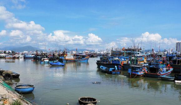 1 Czech Hua Giup Viet Nam Go The Vang Thuy San