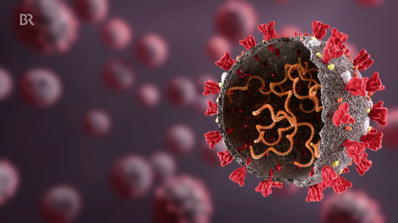 BA.5 có khả năng kháng vắc xin ngừa COVID-19 gấp 4 lần biến thể khác