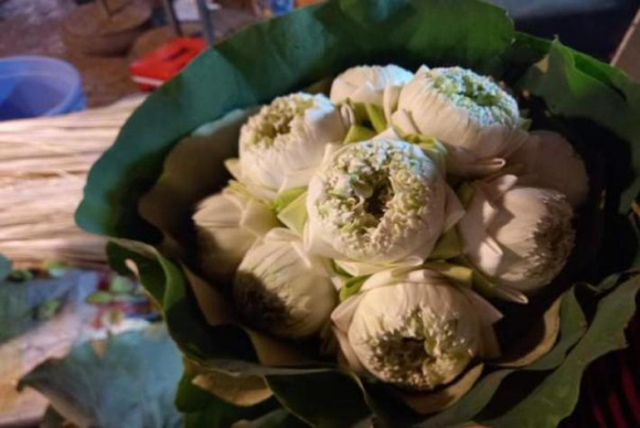 Hoa sen cuối mùa, chị em Hà thành tranh thủ mua về cắm chơi