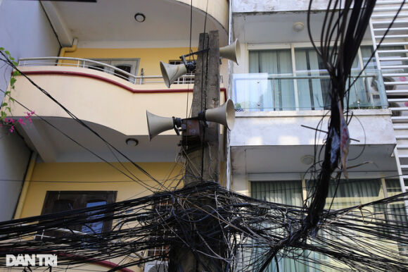 1 Loa Phuong Cung Giong Nhu Bep Than To Ong