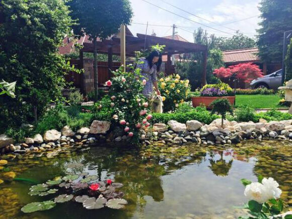 10 Lam Vuon Dam Chat Hue O Hungary Ba Me Viet Khien Bao Nguoi Phai Tram Tro