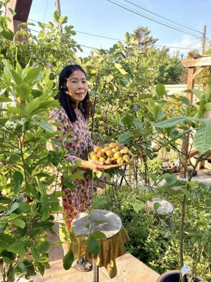 11 Lam Vuon Dam Chat Hue O Hungary Ba Me Viet Khien Bao Nguoi Phai Tram Tro