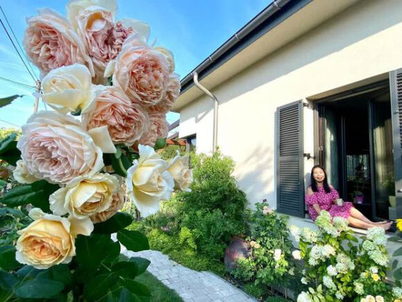 1 Lam Vuon Dam Chat Hue O Hungary Ba Me Viet Khien Bao Nguoi Phai Tram Tro