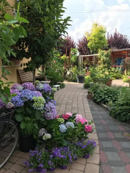 21 Lam Vuon Dam Chat Hue O Hungary Ba Me Viet Khien Bao Nguoi Phai Tram Tro