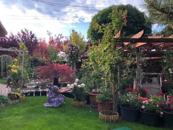 2 Lam Vuon Dam Chat Hue O Hungary Ba Me Viet Khien Bao Nguoi Phai Tram Tro