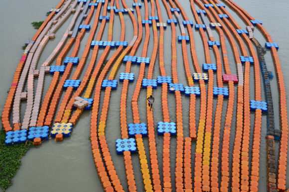 5 Tin The Gioi 1 8 Dan Trung Quoc Phan Doi Nha Tao Mot Dior Vua Ngu Coc Ukraine Thiet Mang