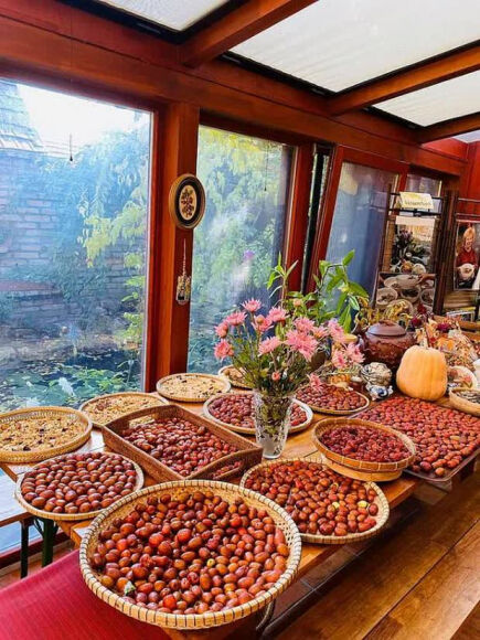 9 Lam Vuon Dam Chat Hue O Hungary Ba Me Viet Khien Bao Nguoi Phai Tram Tro