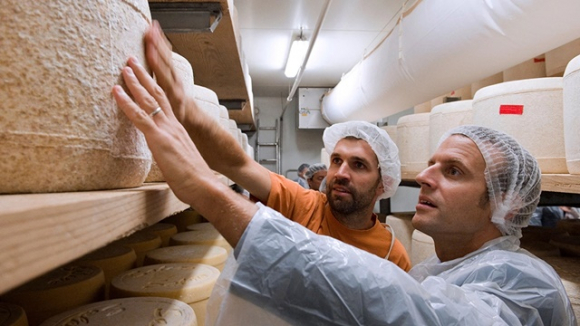 1 Vung San Xuat Pho Mai 2000 Nam Cua Phap Buoc Phai Tam Dung Vi Han Han Keo Dai