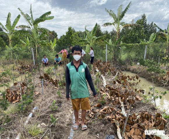 1 Khoi To Nguoi Dan Ong Trom Gan 300 Cay Van Nien Tung
