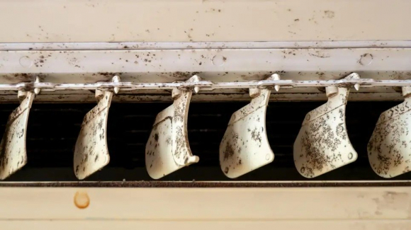 1 Nam Moc Trong Dieu Hoa Khong Khi Cach Phat Hien Va Xu Ly Hieu Qua