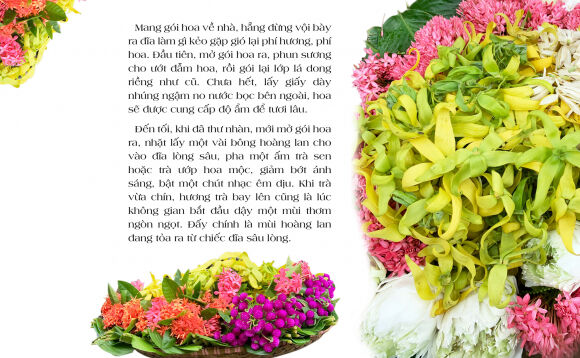 14 Mua Thu Mua Thom Mua Thuong