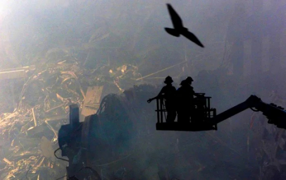 6 Nhin Lai Nhung Khoanh Khac Kinh Hoang Tu Vu Khung Bo 119