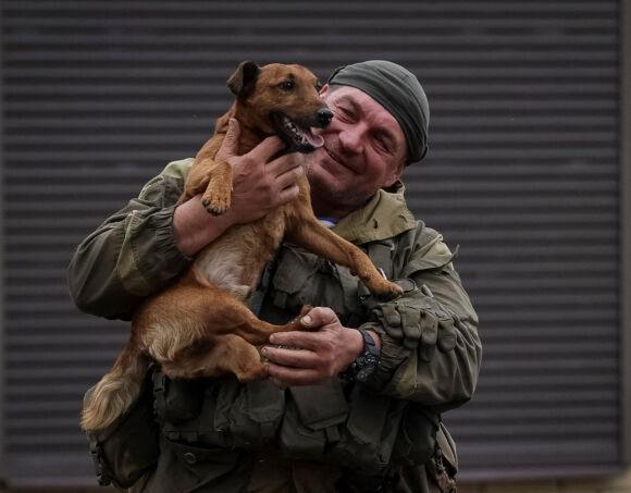 2 Niem Vui Tai Nhung Thanh Pho Ukraine Vua Duoc Giai Phong