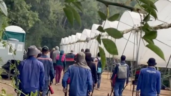 3 Di Anh Hai Qua Thoi Vu Vat Va Nhung Thu Nhap Gap Bon Nam Lan O Viet Nam