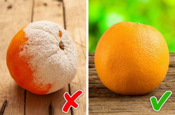 3 Hai Bo Phan Tren Co The Bi Ngua Rat Co The La Dau Hieu Cua Benh Xo Gan Thu Pham La 3 Thu Nay Trong Bep