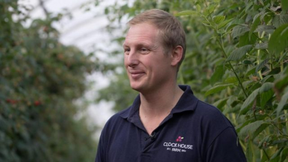 5 Di Anh Hai Qua Thoi Vu Vat Va Nhung Thu Nhap Gap Bon Nam Lan O Viet Nam