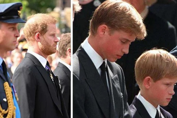 1 William Va Harry Voi Lan Tai Hop Day Am Vang Am Anh Cua Qua Khu