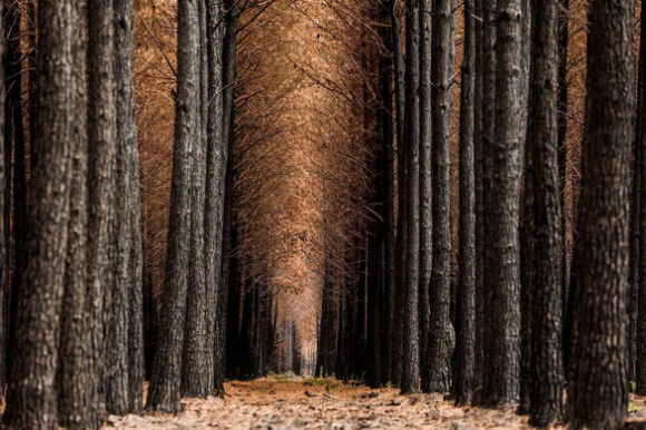 5 Tin The Gioi 21 9 Mcdonalds Tro Lai Kiev Indonesia Danh Hon 6 Ti Usd Dam Bao Luong Thuc