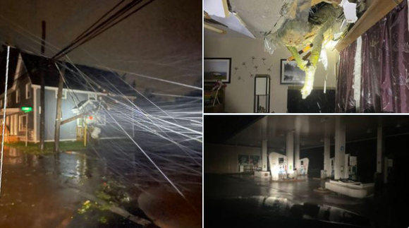 2 Bao Fiona Do Bo Canada Hon 500000 Ho Mat Dien