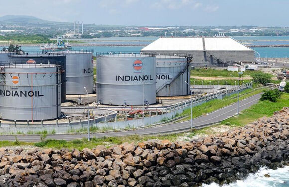 3 An Do Bat Ngo Ngung Nhap Khau Dau Mo Nga Ngay Tu Thang 10