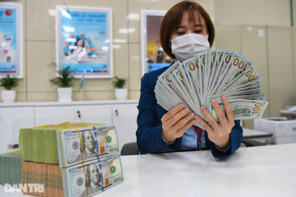 1 Di Mua Usd Thue Mua 5000 Usd Duoc Tra Cong 15 2 Trieu Dongngay