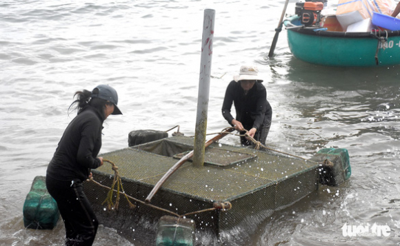 6 Dan Phu Yen Hoi Ha Vot Ca Trieu Con Tom Hum Giong Chay Bao So 4