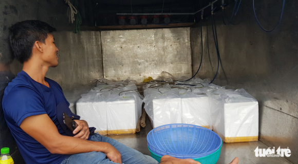 9 Dan Phu Yen Hoi Ha Vot Ca Trieu Con Tom Hum Giong Chay Bao So 4