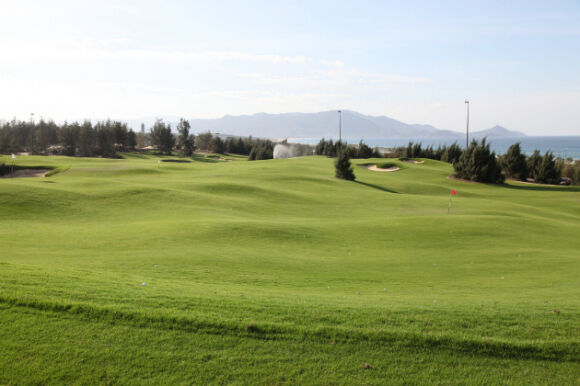 1 Phu Yen Muon Chuyen Dat Trong Lua Kem Hieu Qua Sang Lam San Golf